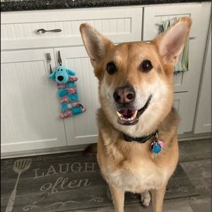 Meet your Posher, Jennifer